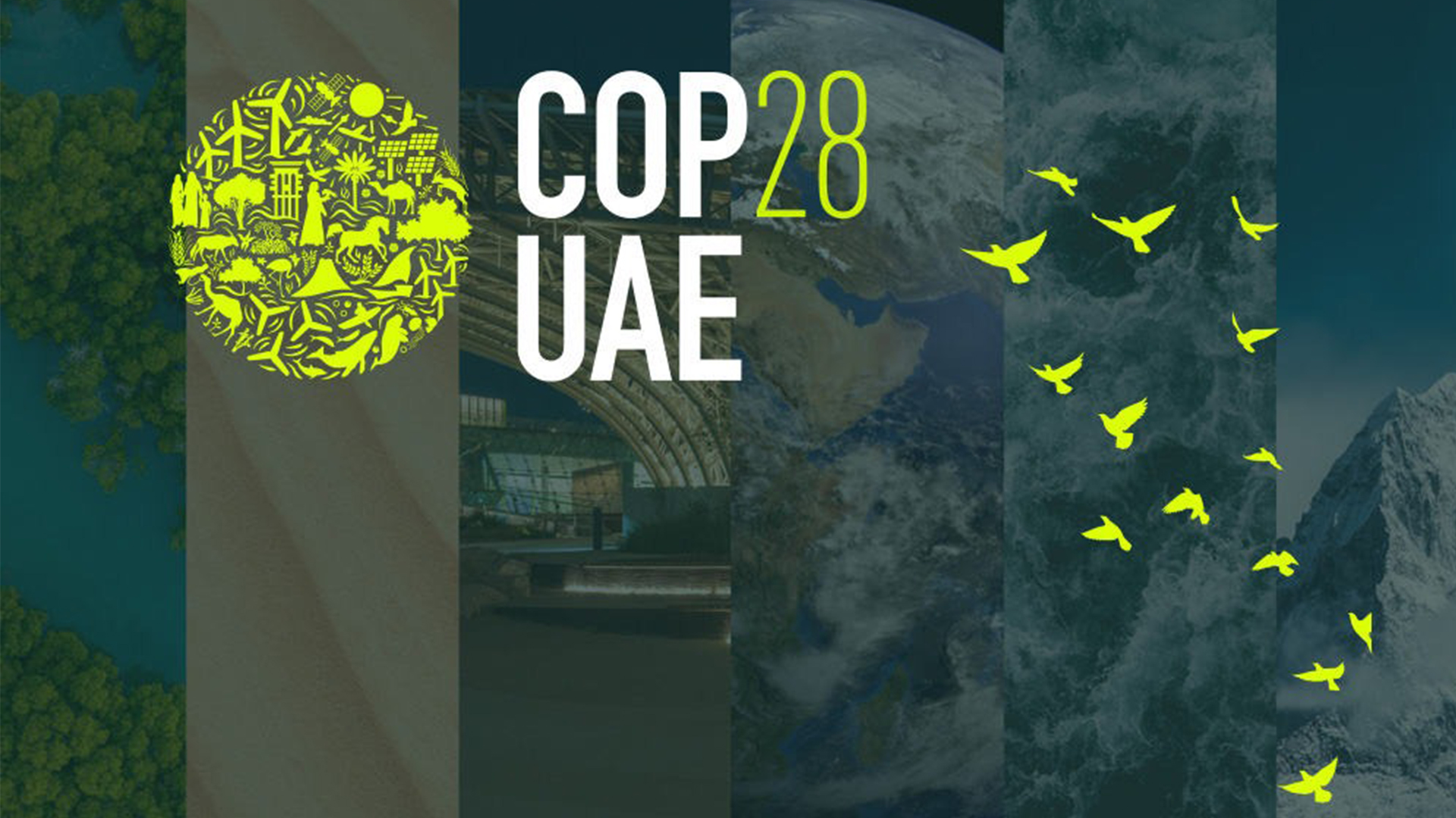 COP-28 and Pakistan: Crafting a Sustainable Climate Future